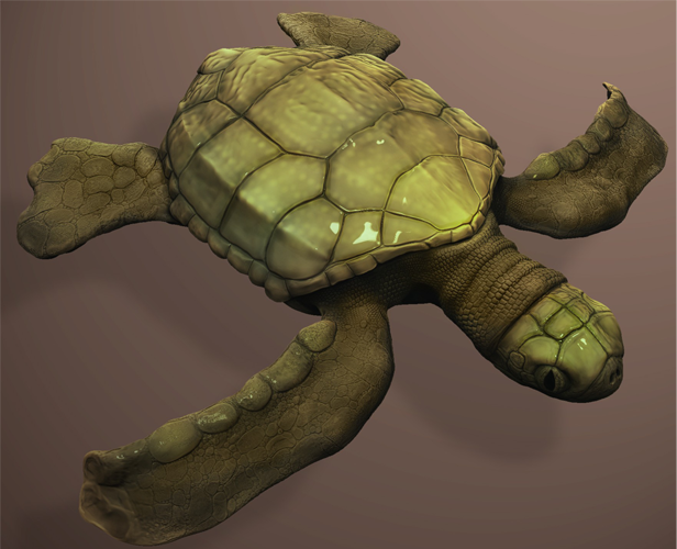 Turtle